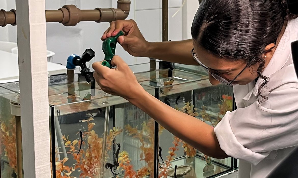 Projeto abre espaço para público conhecer habitat dos cavalos marinhos