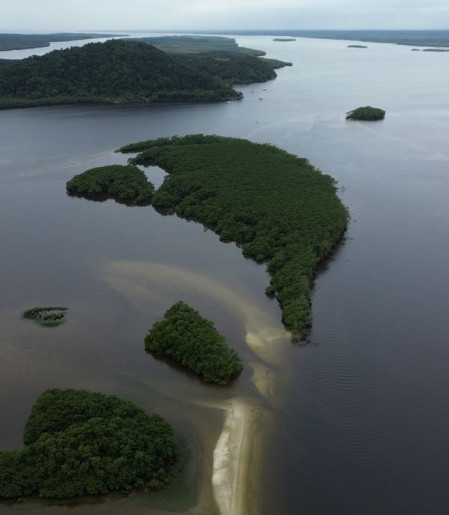 Carbono azul ganha espaço na agenda climática dos oceanos