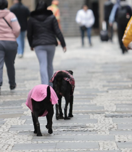 Semana começa com frente fria e chance de tempestade no Sul do País