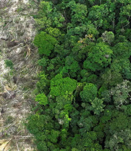 Crise climática é o pior desafio da história humana, diz cientista