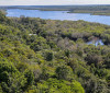 Fundo Amazônia quadruplica ritmo anual de aprovações desde 2023