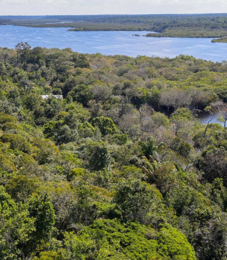 Fundo Amazônia quadruplica ritmo anual de aprovações desde 2023