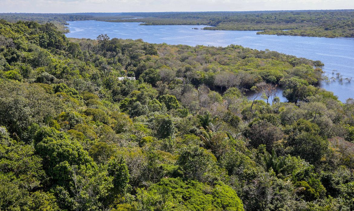Fundo Amazônia quadruplica ritmo anual de aprovações desde 2023