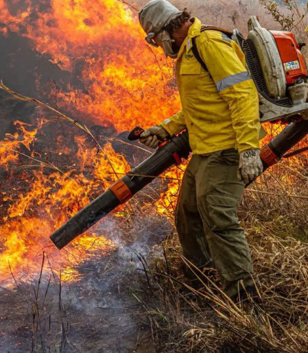 Governo repassa R$ 337 milhões para combate a incêndios e desmatamento