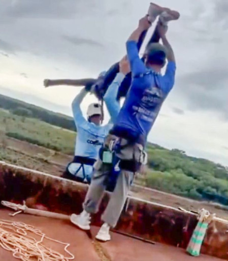 União discute demolição de Ponte do Esqueleto após morte de jovem