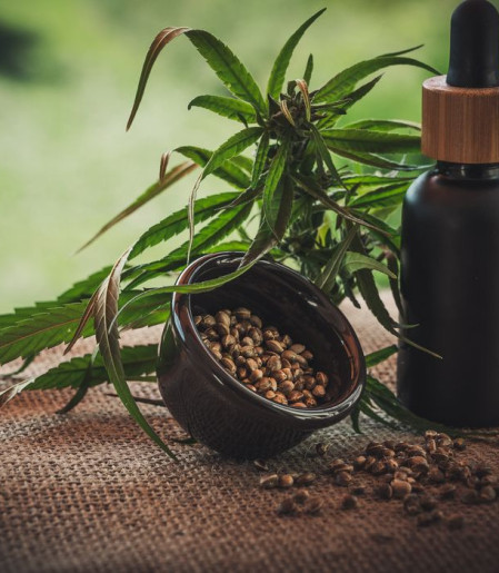 Projeto apoia mães e crianças atípicas tratadas à base de cannabis