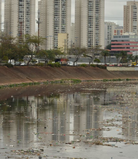 Rio Tietê não tem trecho livre de contaminação, diz SOS Mata Atlântica