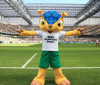 Mascote da Copa de 2014, tatu-bola deve ganhar plano de proteção