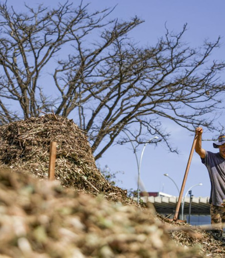 Sistemas agroecológicos de quatro biomas são criados em Brasília