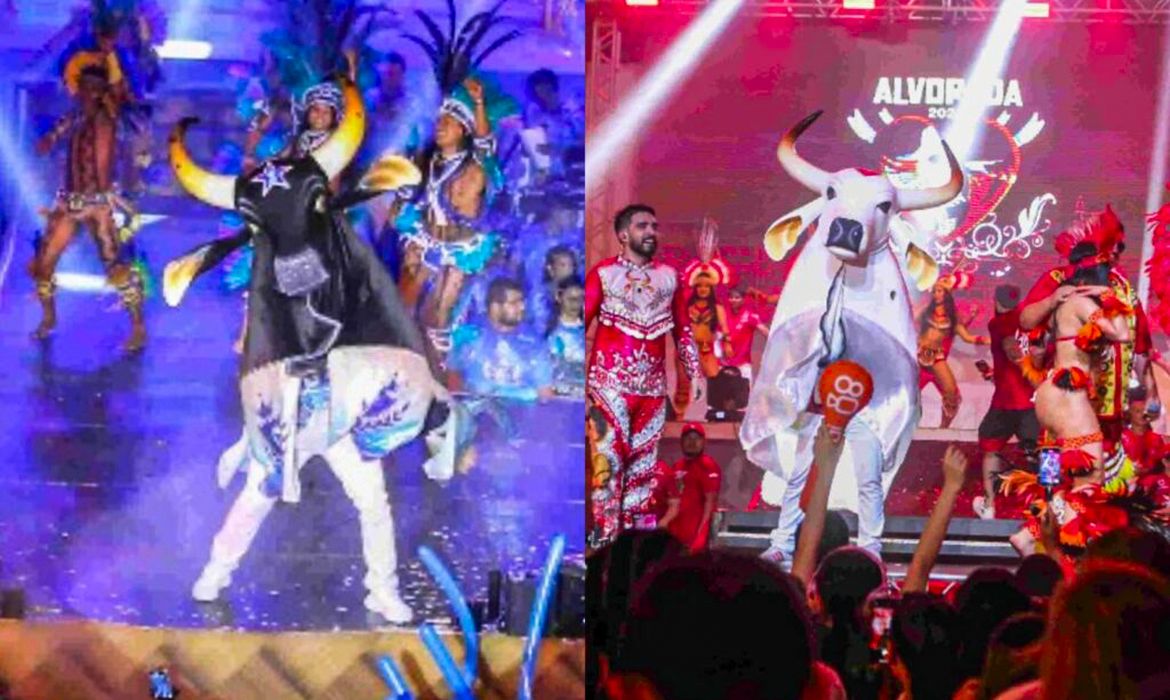 Apuração define o campeão do Festival de Parintins 2026 nesta segunda