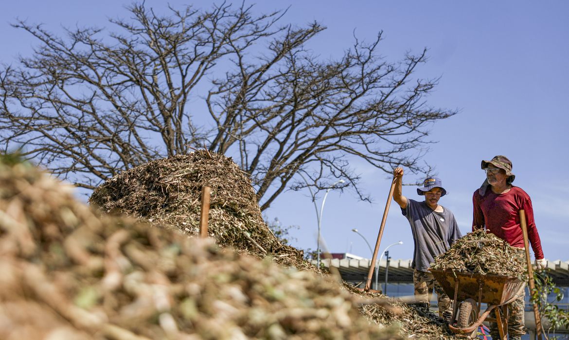 Sistemas agroecológicos de quatro biomas são criados em Brasília