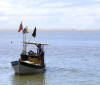 Pescadores artesanais começam a receber seguro-defeso retroativo