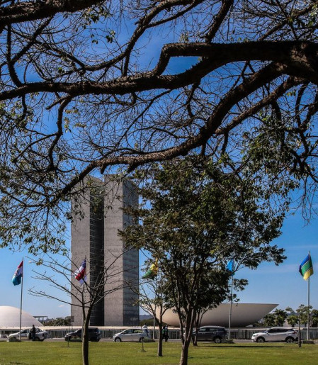 Congresso aumenta punição a crimes sexuais online contra crianças  