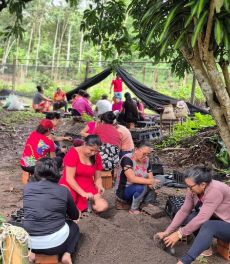 Mulheres da Amazônia se unem para enfrentar as mudanças climáticas