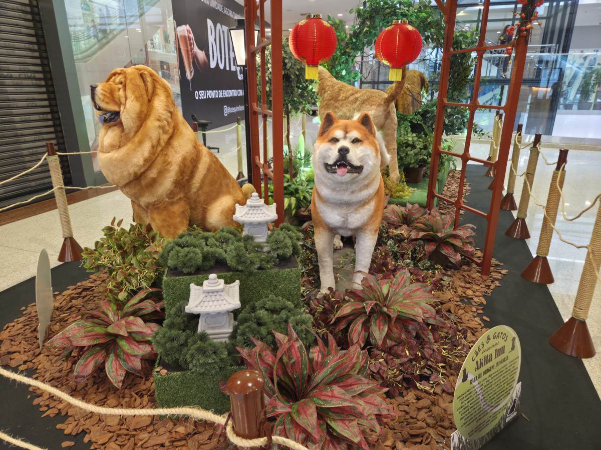 Exposi&ccedil;&atilde;o re&uacute;ne r&eacute;plicas em tamanho ampliado de c&atilde;es e gatos e apresenta curiosidades sobre diferentes ra&ccedil;as