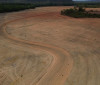 Fim da Moratória da Soja pode ampliar destruição da Amazônia