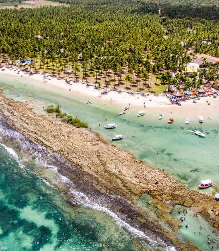 Barulho de barco e de turistas afeta comunicação de peixes, diz estudo