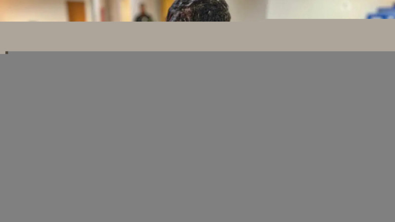 PF cumpre mandados contra suspeitos de desviar R$ 45 milhões de contas