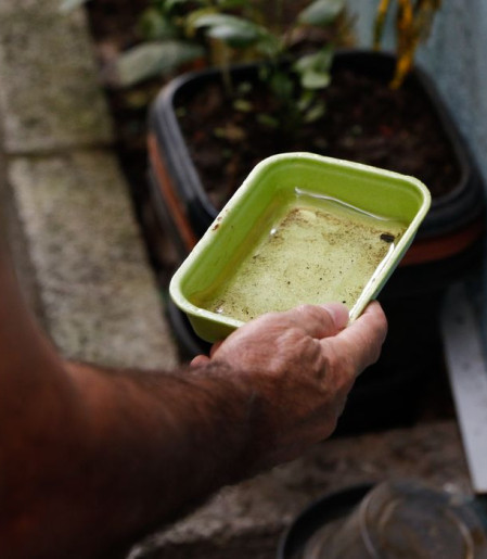El Niño pode aumentar casos de chikungunya e dengue no Brasil