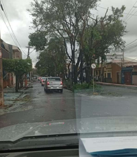 Ruas de Ribeirão Preto ainda têm sinais do temporal
