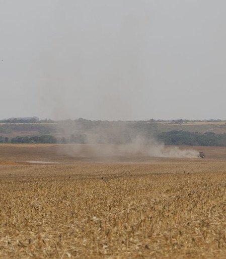 Estudo propõe avanços na rastreabilidade ambiental da soja e da carne
