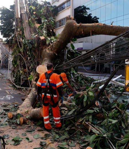 Rede elétrica mais resiliente requer investimento de concessionárias