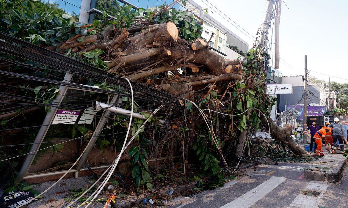 Ventania em RJ, SP e RS expõe falhas na resposta a extremos climáticos