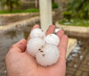 Região Sul tem previsão de chuva e granizo para esta terça-feira