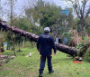 Sul, Sudeste e Centro-Oeste têm alerta para tempestades e vendavais