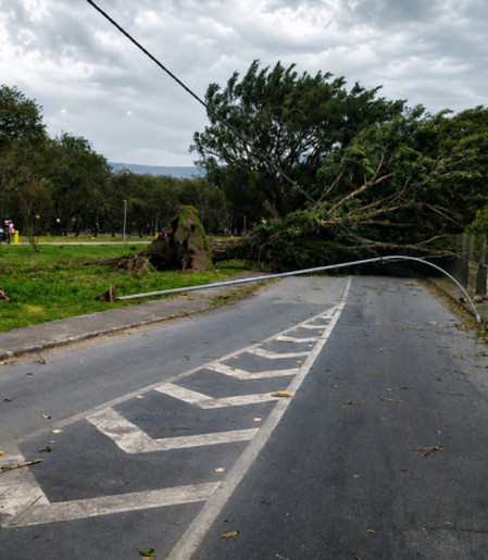 SP: ventania pode atingir 50 km/h no fim de semana