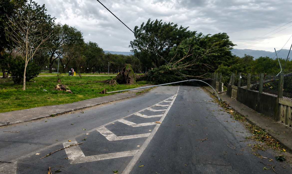 SP: ventania pode atingir 50 km/h no fim de semana