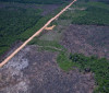 Desmatamento na Amazônia cai 36,87% no último ano