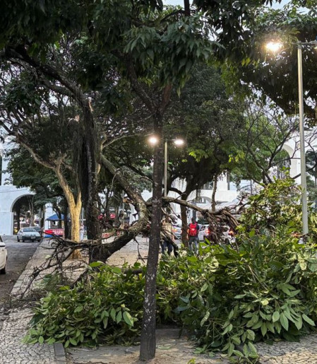 Ventania: moradores do Rio acordam sob alerta; saiba o que fazer