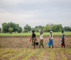 Grande Muralha Verde restaura 1,66 milhão de hectares na África