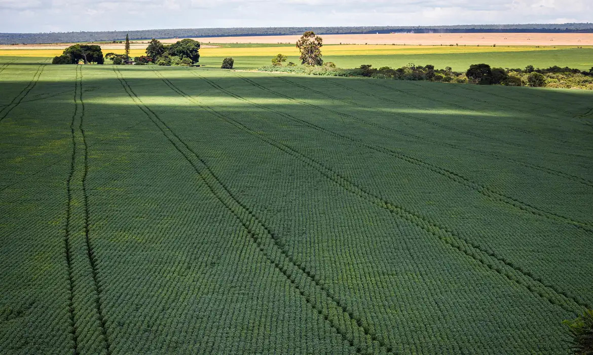 Senado aprova plano para fabricação de fertilizantes no Brasil
