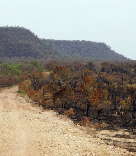 Mapbiomas: menor vegetação nativa expõe mais o país ao El Niño