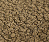 Risco de desertificação no Brasil ameaça segurança hídrica e alimentar