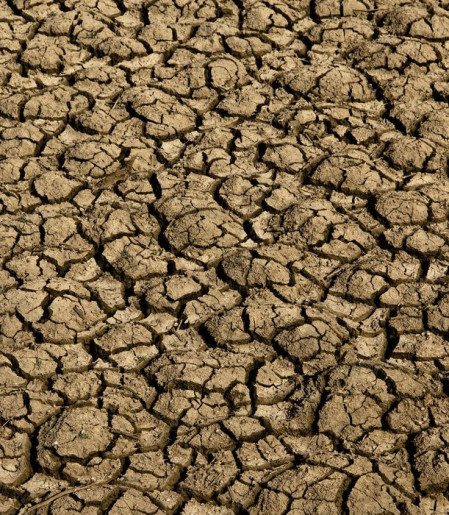 Risco de desertificação no Brasil ameaça segurança hídrica e alimentar