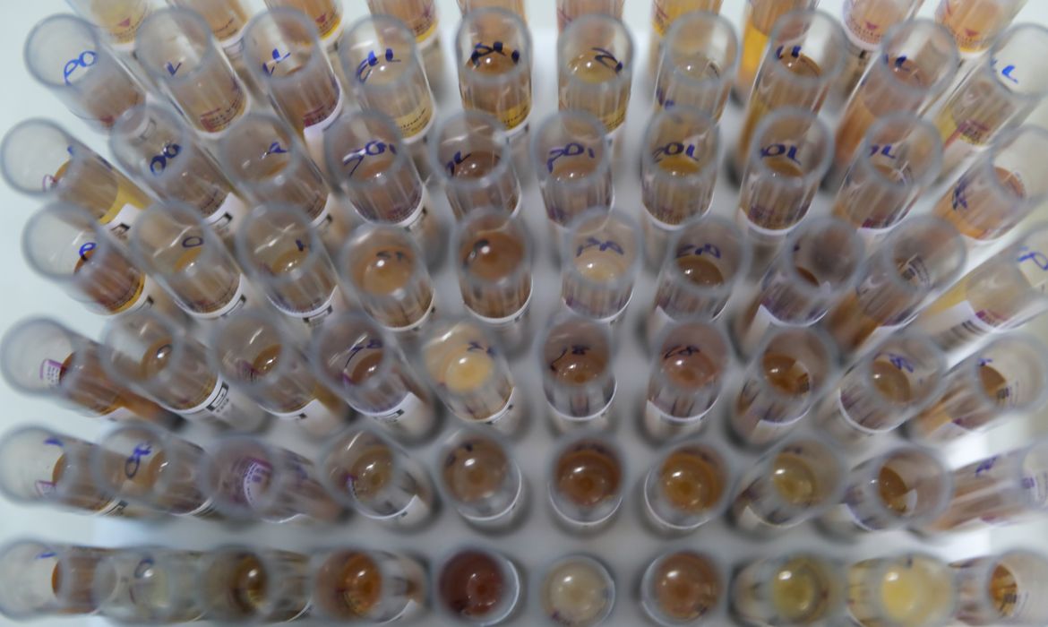 Uso de medicamento oferecido no SUS reduz casos de malária no Brasil
