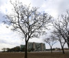 Grande parte do país tem temperaturas elevadas nesta terça-feira