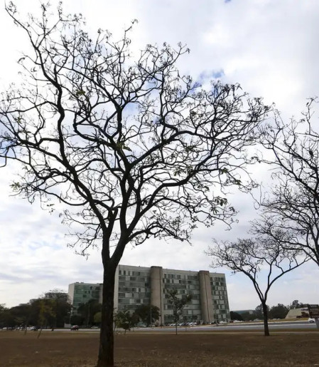 Grande parte do país tem temperaturas elevadas nesta terça-feira