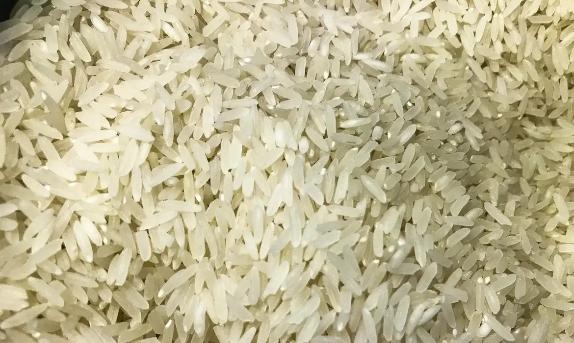 Terremoto: Brasil doará 10 toneladas de arroz à Colômbia