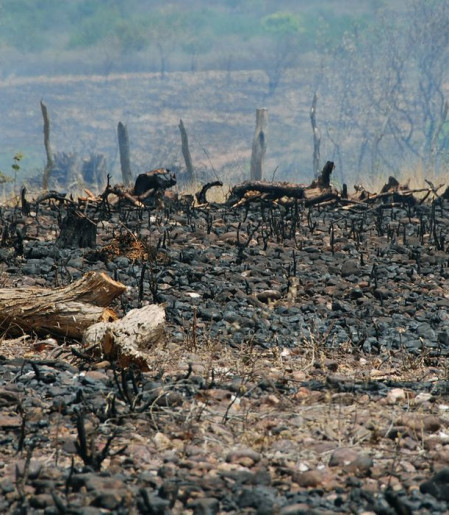 Sociedade civil rejeita agenda excludente aprovada no início da COP17