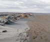 Fungos podem restaurar terras degradadas e combater crise climática