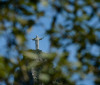 Cristo Redentor se prepara para compensar impacto ambiental do turismo