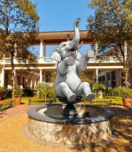 O elefante branco chamado Marista
