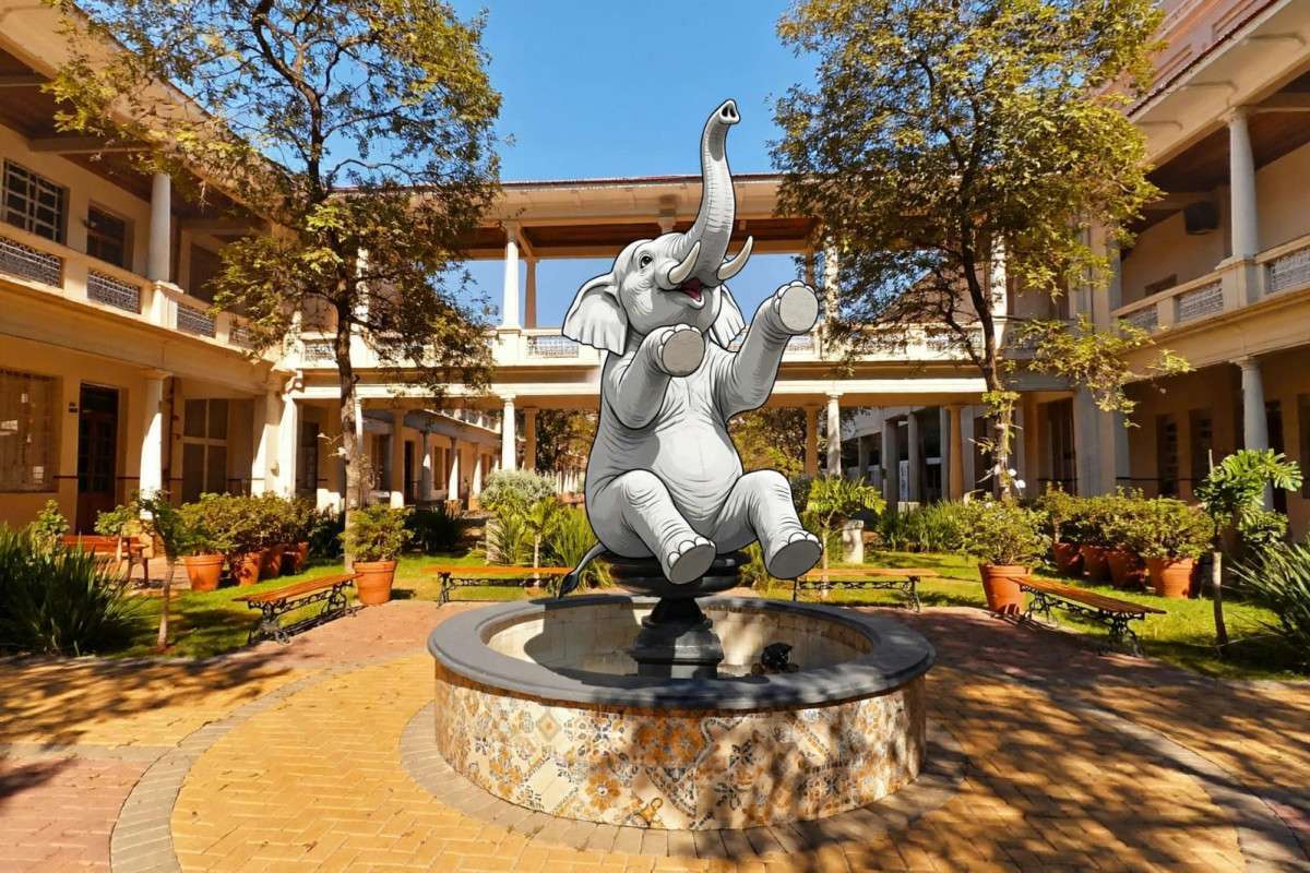 O elefante branco chamado Marista