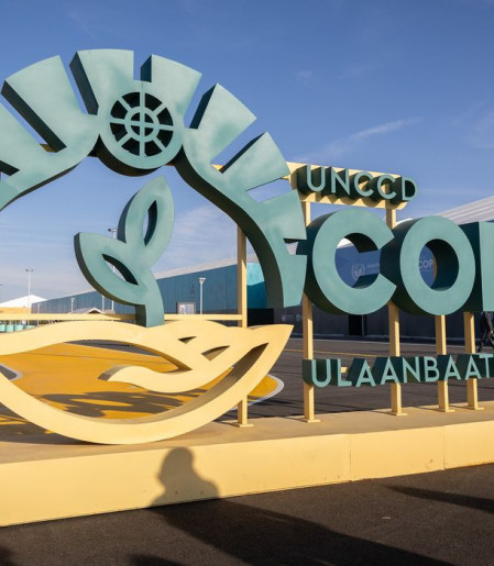 Estados do Nordeste tentam atrair investimentos para Caatinga na COP17