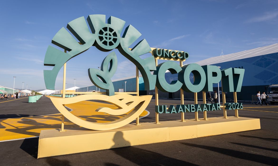 Estados do Nordeste tentam atrair investimentos para Caatinga na COP17