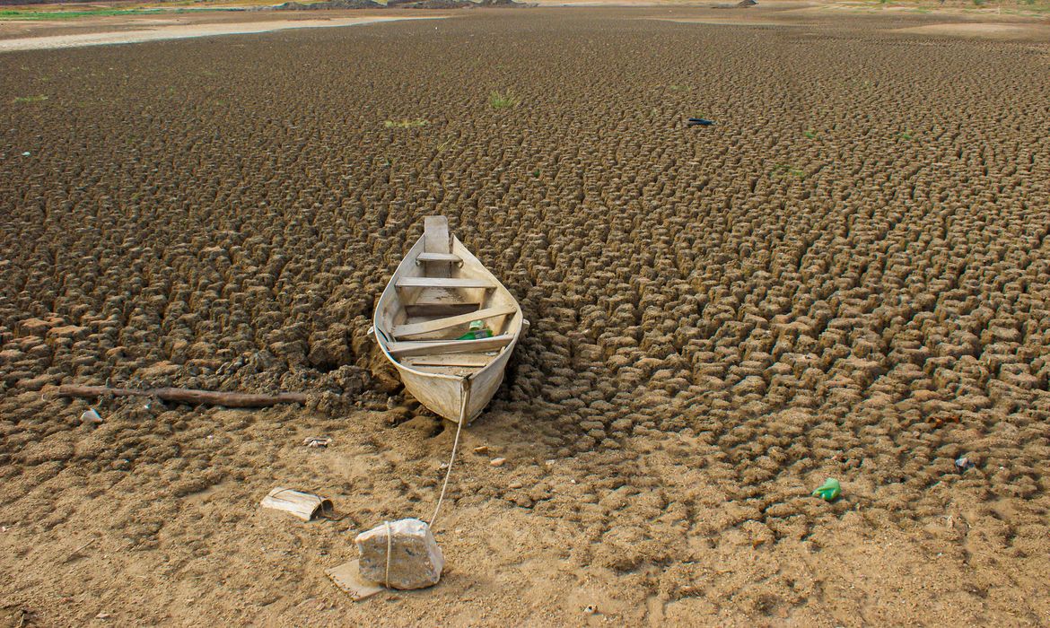 Brasil promete restaurar 163 mil km² de terras degradadas até 2030 